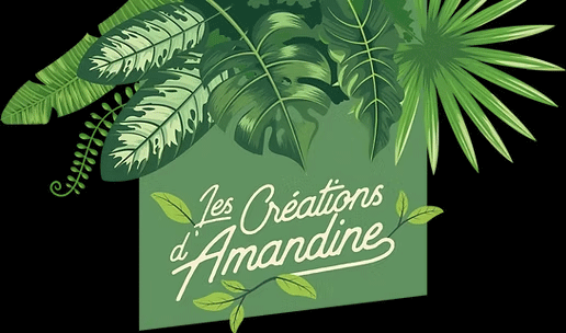 agence communication La Réunion
