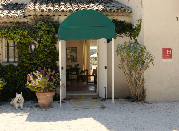 agence stratégie digitale Saint-Tropez