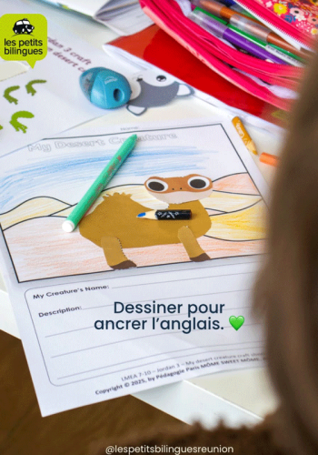 agence stratégie digitale La Réunion